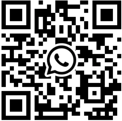 WhatsApp Number

+86 134 7781 3729